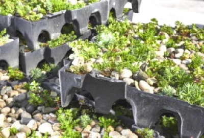 Wetter resistente Pflanzen Dach, automatische Bewässerungssysteme
